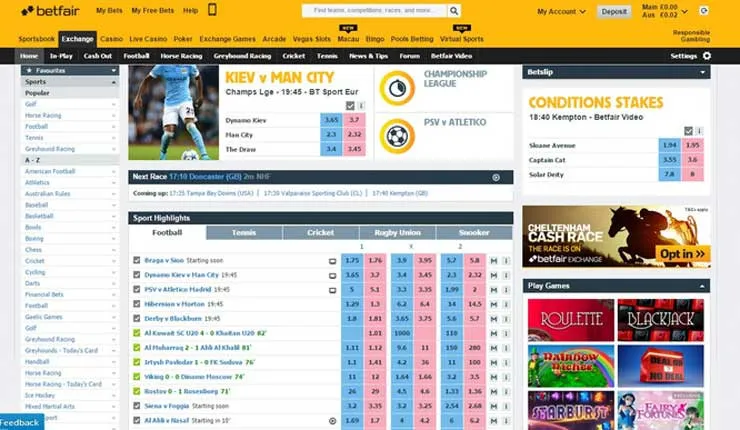 Blue Back and Pink Lay Odds Ladder on Betting Exchange